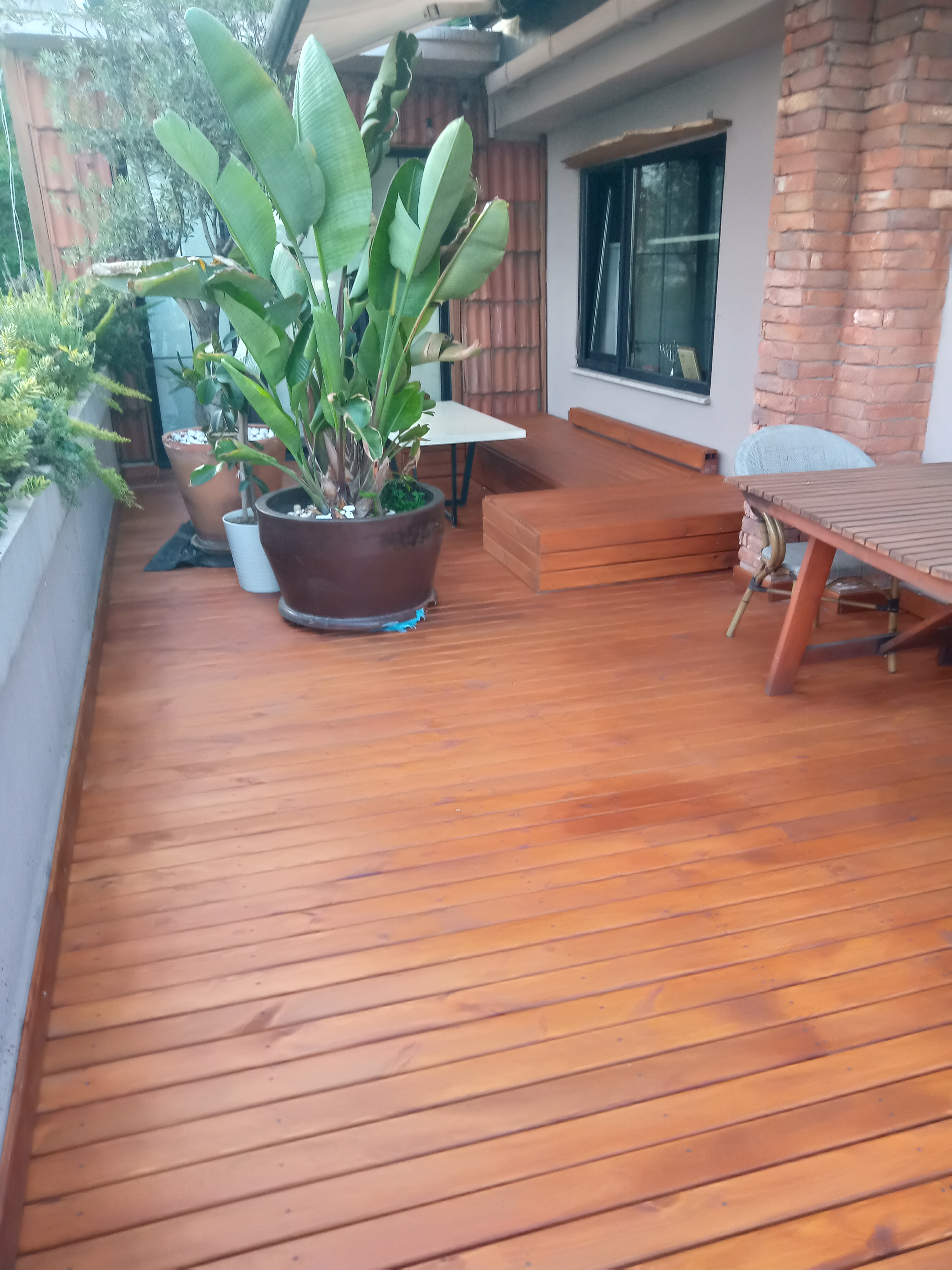 Çam ağacı deck